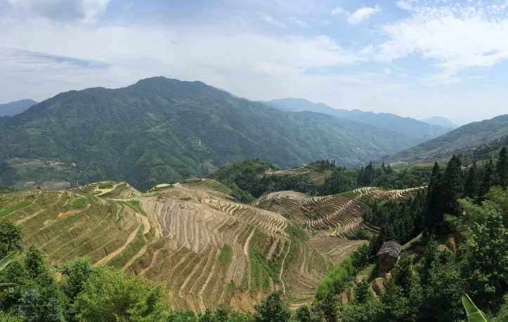 Longji Rice Terraces