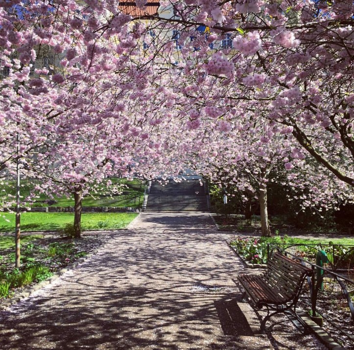 Screenshot_20190219-120354-02