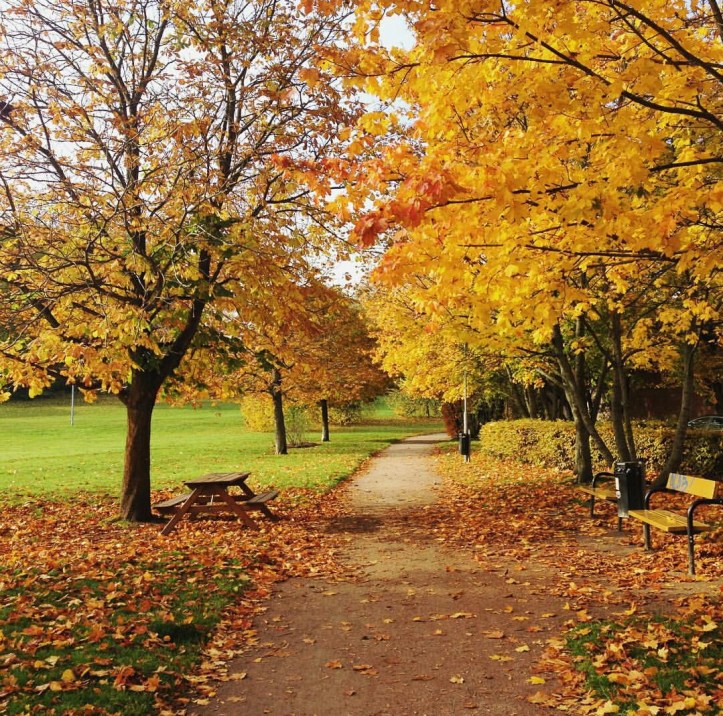 Screenshot_20190219-120439-01