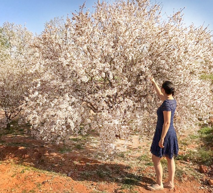 LRM_EXPORT_3590926014738_20190222_221430343-01